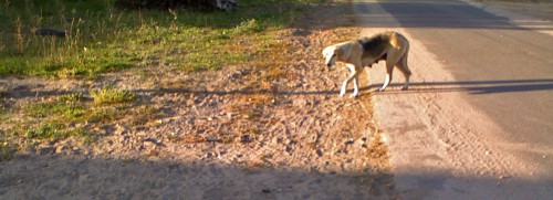 Les_23092012-9.jpg