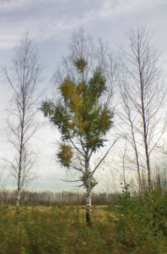 Les_27092012-2.jpg