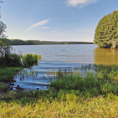 Les_06.07.2025-2.jpg