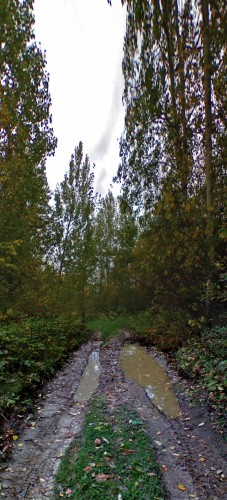 Les_29092012-2.jpg