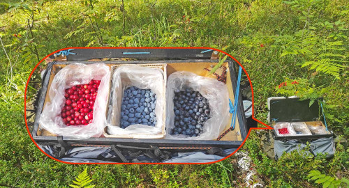 Les_10.08.2025-1.jpg