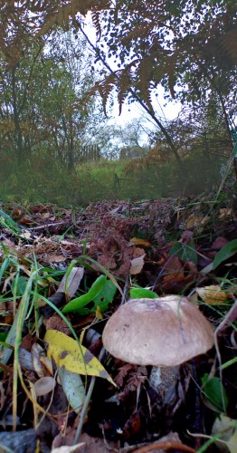 Les_021012-3.jpg