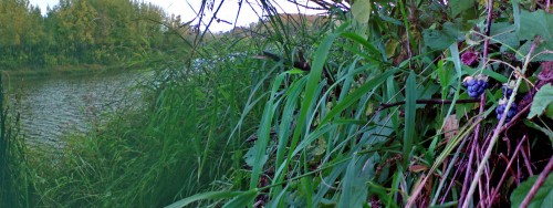 Les_051012-2.jpg