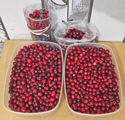 Les_26.09.2025-1.jpg
