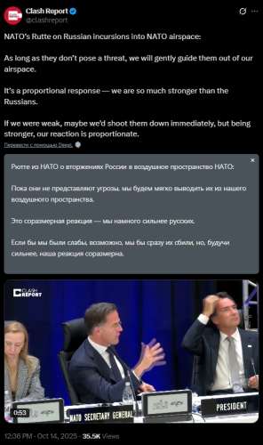 S_sh_2309t_7.png