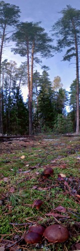 Les_071012-4.jpg