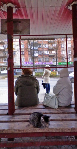 Les_081012-1.jpg
