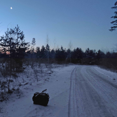 Ryb_15.12.2025-2.jpg