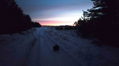 Ryb_16.12.2025-2.jpg