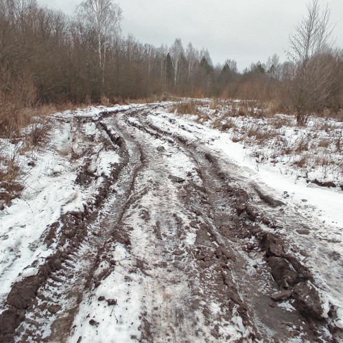 Ryb_18.12.2025-2.jpg