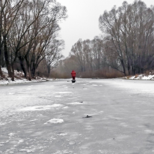 Ryb_20.12.2025-1.jpg