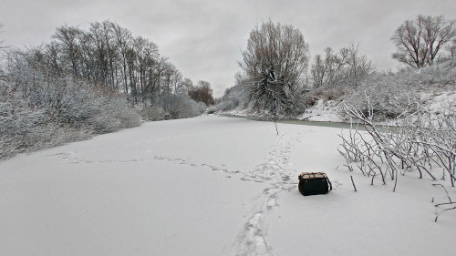 Ryb_22.12.2025-4.jpg
