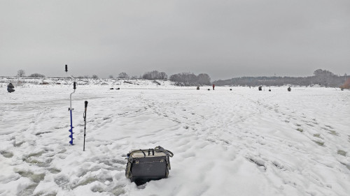 Ryb_04.01.2026-2.jpg
