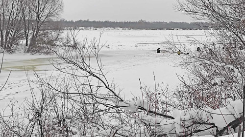 Ryb_04.01.2026-3.jpg