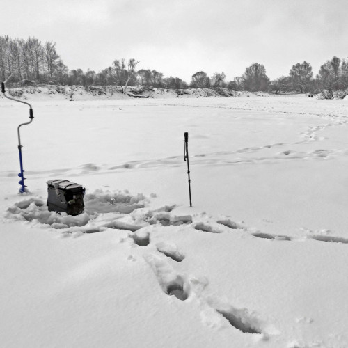 Ryb_10.01.2026-2.jpg