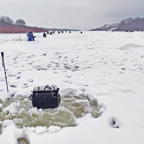Ryb_10.01.2026-3.jpg