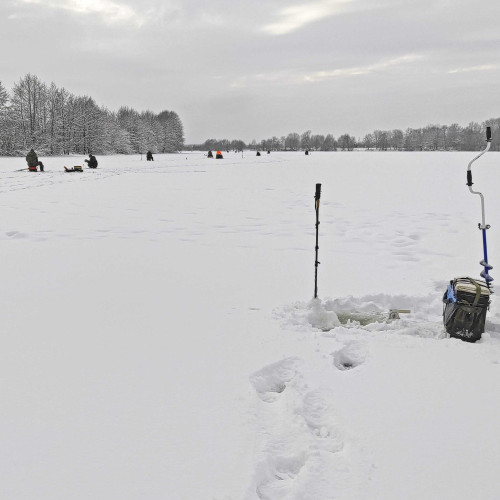 Ryb_13.01.2026-3.jpg