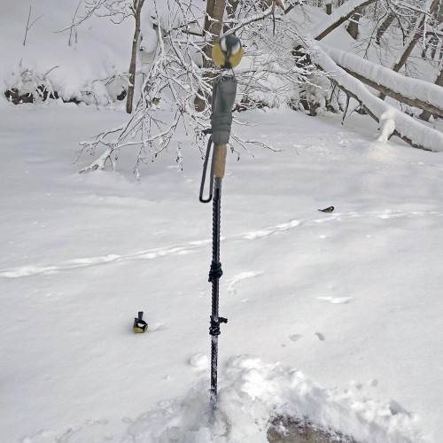 Ryb_13.01.2026-4.jpg