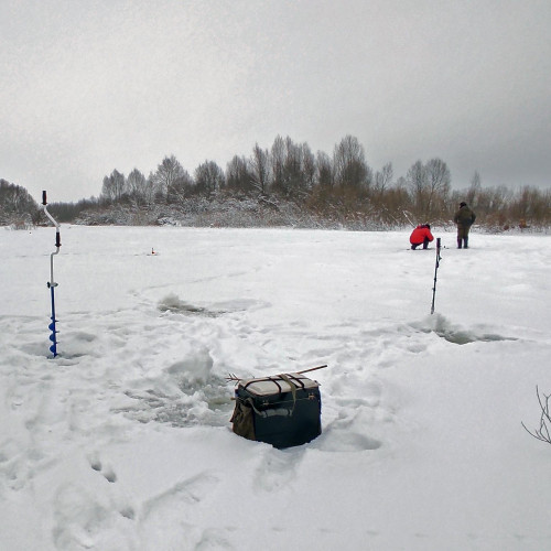 Ryb_19.01.2026-1.jpg