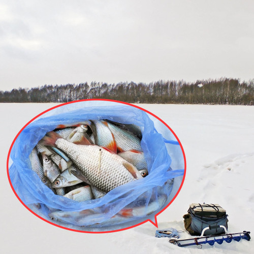 Ryb_20.01.2026-2.jpg