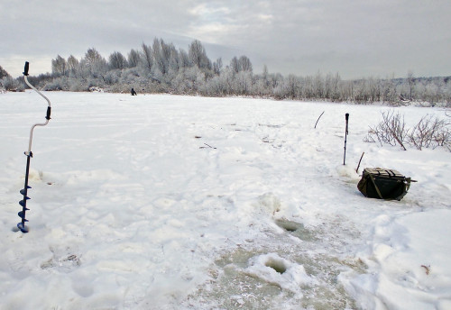 Ryb_21.01.2026-1.jpg