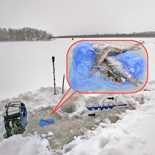 Ryb_28.01.2026-3.jpg
