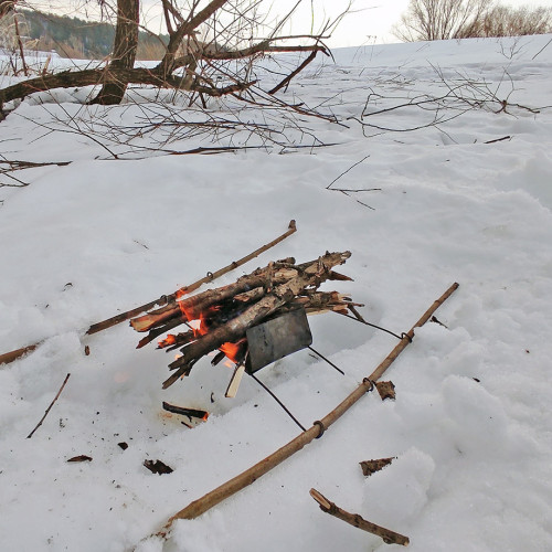 Ryb_12.03.2026-4.jpg