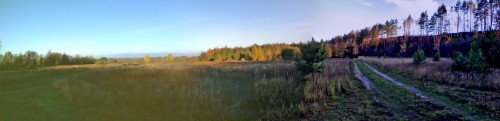 Les_111012-2.jpg