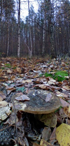 Les_211012-5.jpg