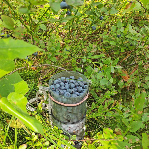 Les_05.08.2026-3.jpg