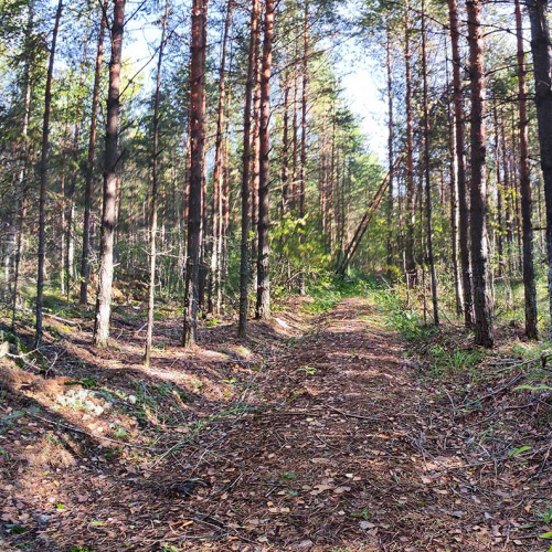 Les_29.08.2026-1.jpg