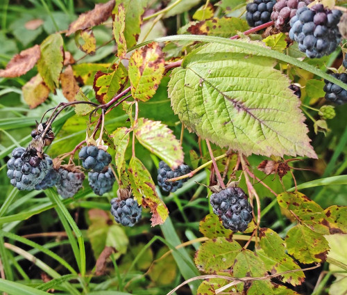 Les_12.09.2026-1.jpg