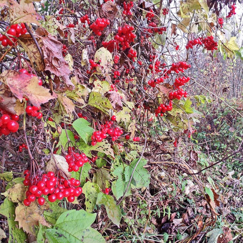 Les_01.10.2026-1.jpg