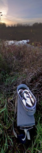 Les_271012-5.jpg