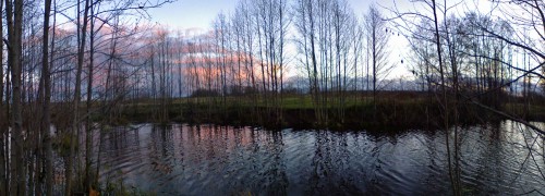 Les_071112-2.jpg