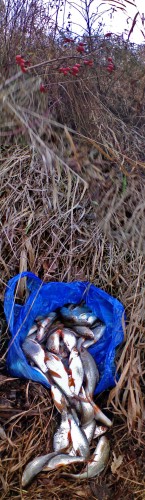 Les_171112-3.jpg