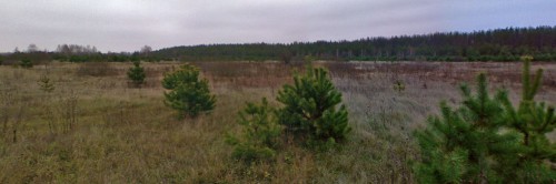 Les_201112-2.jpg