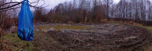 Les_201112-5.jpg