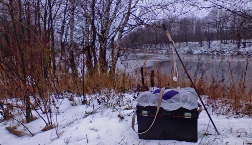 Ryb_01122012-1.jpg