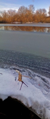 Ryb_01122012-2.jpg