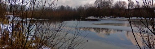 Ryb_01122012-3.jpg