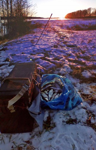Ryb_05122012-9.jpg