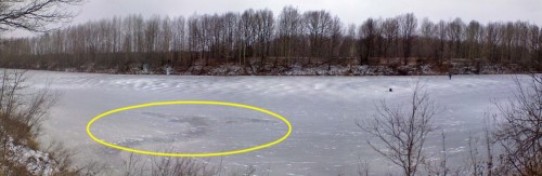 Ryb_05122012-2a.jpg