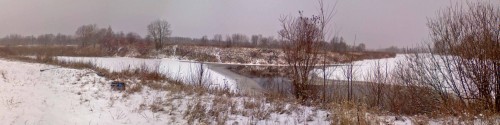 Ryb_08122012-4.jpg