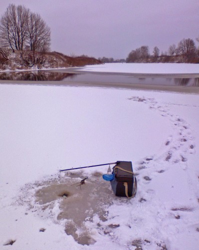 Ryb_08122012-7.jpg