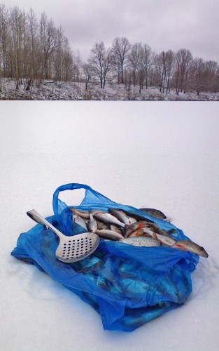 Ryb_08122012-9.jpg