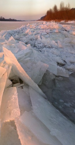 Ryb_15122012-7.jpg