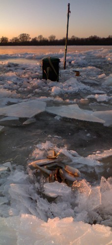 Ryb_15122012-8.jpg