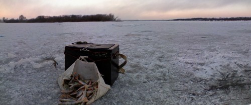 Ryb_17122012-5a.jpg