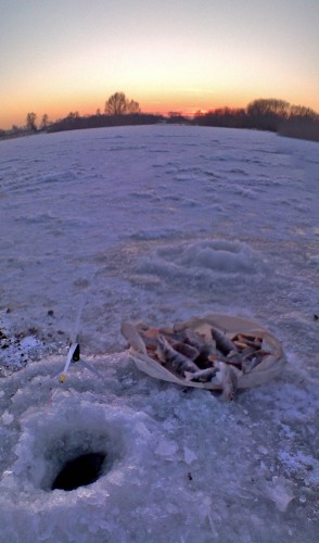 Ryb_20122012-2.jpg